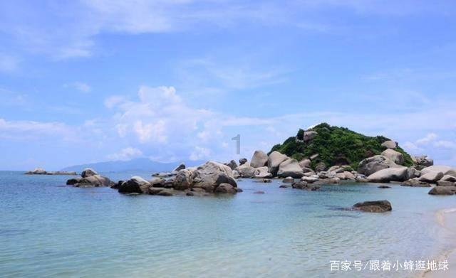 紫罗兰的花语和寓意游戏画面